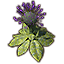 Plant, Wilted Hist Bulb Icon icon