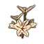 Furniture icon for Бледные садовые цветы