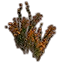 Furniture icon for Цветы (здоровый золотарник)