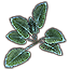 Planta, centella cerúlea icon