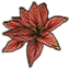 Plant, Canna Leaves Icon icon