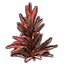 Plant, Red Sister Ti Icon icon