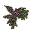 Flowers, Violet Prairie Icon icon