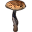 Mushroom, Giant Tanglestalk Icon icon