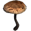 Pilz, mittlere Glatzkappe icon