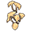 Mushrooms, Climbing Ambershine Icon
