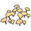 Champignons, grappe d'ambreluise Icon icon