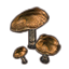 Auridon Mushrooms, Cluster icon