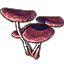 Mushrooms, Gilled Dusk Cluster icon