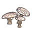 Mushrooms, Puspocket Cluster Icon icon