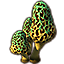 Mushrooms, Tall Green Morel Cluster icon