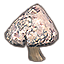 Pilz, große Eitertasche icon
