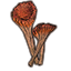 Mushrooms, Funnel Cap Cluster icon