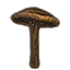 Mushroom, Sturdy Milkcap icon