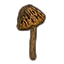 Mushroom, Spongecap Button icon