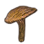 Mushroom, Young Milkcap Icon icon