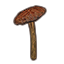 Mushroom, Young Netch Shield Icon icon