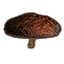 Mushroom, Netch Shield Platform icon