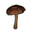 Mushroom, Netch Shield Tower icon