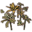 Pflanzenbüschel, Haafingar-Unterholz icon