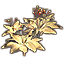 Клумба (капуста сумеречной бабочки) icon