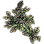 Arbusto, albahaca salvaje icon