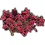 Flowers, Large Climbing Summertide icon