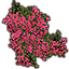 Flower Patch, Summertide icon