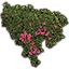 Flower Curtain, Summertide icon
