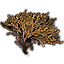 Kelp Shelf, Small Brown Icon icon