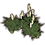 Herbe de la pampa, touffes Icon icon