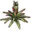 Pflanze, Ananas Icon icon