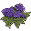 Blumen, Seelavendel-Ansammlung Icon icon