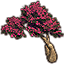 Sapling, Magenta Summertide Icon icon