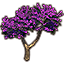 Sapling, Violet Branched Summertide Icon icon