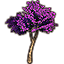 Sapling, Violet Leaning Summertide Icon icon