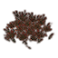 Plants, Ruby Glasswort Patch Icon icon