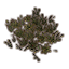 Plants, Glasswort Patch Icon icon