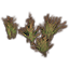 Plantas, penacho de hierba roja Icon