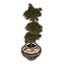 Alinor Potted Plant, Triple Tiered icon