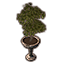 Alinor Potted Plant, Double Tiered icon