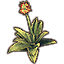 Pflanze, Galenagave icon