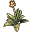 Furniture icon for Растение (галенское алоэ)