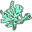 Corail bois-d'élan, branches verdoyantes Icon icon