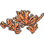 Elchhornkoralle, Ansammlung Icon icon