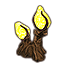 Lanterne Telvanni, ambre organique icon