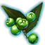 Dämmerholz-Beeren der Blüte icon