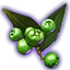 Dämmerholz-Beeren des Keimens icon