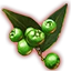 Dämmerholz-Beeren des Wachstums icon