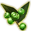 Dämmerholz-Beeren der Reife icon